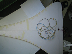 wing2 wing2